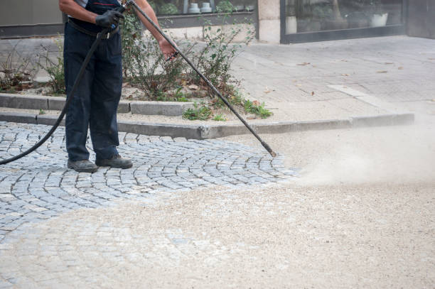 Best Driveway Pressure Washing  in Sedgwick, KS